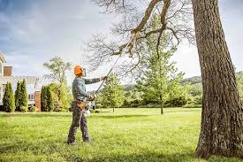 Best Arborist Consultation Services  in Mec, CA